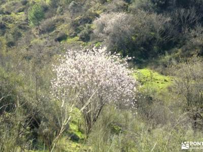 Cañón Río Aulencia-Embalse de Valmenor; senderismo en potes senderismo ruidera senderismo llanes sen